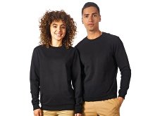 Sweatshirt "Motion" (SKU 172599M)