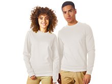 Sweatshirt "Motion" (SKU 172501L)