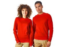 Sweatshirt "Motion" (SKU 172525S)