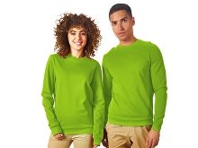 Sweatshirt "Motion" (SKU 172565S)