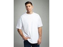 Oversized sublimation t-shirt "Evolution" unisex (SKU 2444201XL)
