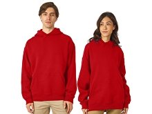 Oversized Hoodie "Berlin" Unisex (SKU 3165030XL-2XL)
