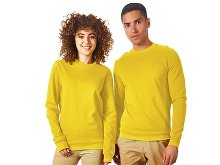 Sweatshirt "Motion" (SKU 172510S)