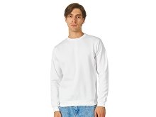 Men's hoodie "Rome" (SKU 31529014XL)