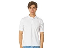 Men's polo shirt "Boston 2.0" (SKU 3177FN10L)