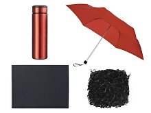 Gift set with umbrella and thermos (SKU 350063.01)