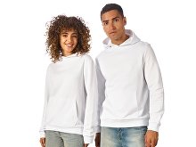 Hoodie "Monaco" (SKU 173301M)