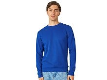 Men's hoodie "Rome" (SKU 31529472XL)