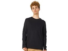 Men's long sleeve t-shirt "Porto" (SKU 339399M)