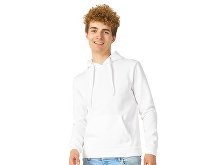 Men's hoodie "Amsterdam" (SKU 3153001S)