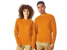 Sweatshirt "Motion" (SKU 172533XL)