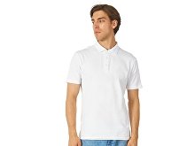 Men's polo shirt "Chicago" (SKU 3103701M)