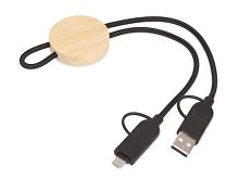 3-in-1 charging cable “Acalyph” (SKU 823021)