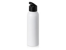 Aluminum water bottle with handle "Plain Alu", 650 ml (SKU 877556)