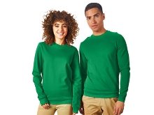 Sweatshirt "Motion" (SKU 172562S)