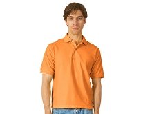 Men's polo shirt "Boston 2.0" (SKU 3177FN33L)