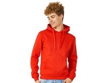 Hoodie "Amsterdam" for men (SKU 3153025XL)
