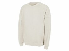 Oversized sweatshirt "Paris", unisex (SKU 230516M)