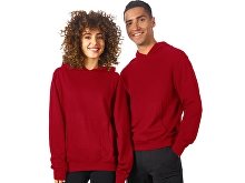 Hoodie "Warsaw", unisex (SKU 173025S)
