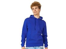 Men's hoodie "Amsterdam" (SKU 31530472XL)