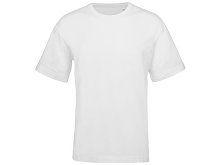 Oversized t-shirt "Vienna" unisex (SKU 231301M)
