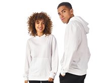Hoodie "Warsaw", unisex (SKU 173001M)