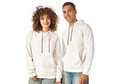 Hoodie "Stream" (SKU 171901M)