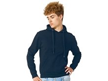 Men's hoodie "Amsterdam" (SKU 3153045S)